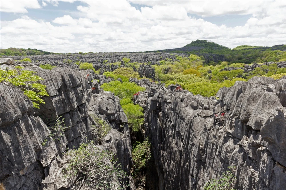 Parc National Ankarana